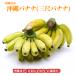 [ бесплатная доставка по всей стране ] Okinawa префектура производство Okinawa banana ( три сяку banana )2kg