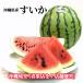 [ бесплатная доставка по всей стране ] Okinawa префектура производство ...4 шар (12.8kg и больше ) свежий прямая поставка 