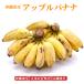  Okinawa префектура производство Apple banana (4kg)[ бесплатная доставка * немедленная отправка возможно ]