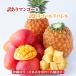  Okinawa ..[ есть перевод ] Apple манго &[ есть перевод ] Gold barrel еда . сравнение комплект (600g и больше (2~3 шар )&1kg и больше (1~2 шар ))[ бесплатная доставка * немедленная отправка возможно ] свежий прямая поставка 