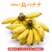  Okinawa префектура производство остров banana (2kg)[ бесплатная доставка * немедленная отправка возможно ]