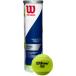  Wilson Wilson Tour стандартный TOUR STANDAED 1 жестяная банка 4 лампочка ввод теннис мяч тренировка лампочка водоотталкивающий долговечность ITF легализация JTA легализация часть . тренировка WRT103800