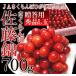 �������� ������ �I�n�͔| �o���l�� L�� 700g �G�i�@�R�`���Y �i�`�������ڂЂ����� ����i