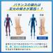�C���\�[�� ���S�C ���~�� �Ռ��z�� �G���� �A�[�`�T�|�[�g ��Ã��[�J�[���� ���f�B�G�C�h �A�V�X�g�C���\�[�� �A�[�`���O���b�v ��J�y�� �o�����X ���� �֘A�摜3