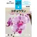kochou Ran (NHK хобби. садоводство 12. месяц культивирование navi (3))
