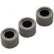  Daytona (Daytona) для мотоцикла DWR весовые ролики φ17×12mm 6.0g person направление указание нет 3 шт. комплект 90491