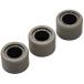  Daytona (Daytona) для мотоцикла DWR весовые ролики φ17×12mm 6.5g person направление указание нет 3 шт. комплект 90492
