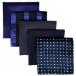 (silaks. Wing ) Shlax&amp;Wing полоса мужской pocket square 5 шт. комплект бизнес .. шелк 