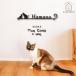 �\�D �L �ؕ��� �uMiBAE The Cats+One�v�X�e�����X �A�C�A���� �ˌ� ������� ���� ���C��