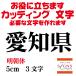  Aichi prefecture tomorrow morning body black 5cm cutting sheet character character seal cutting letter made mail order outdoors weather resistant .. compilation customer . on up .