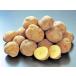 kita красный li(L)10Kg Hokkaido производство картофель ..... отгрузка время :9~4 месяц 