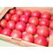  Hokkaido beautiful . production tomato 4Kg 24 sphere rom and rear (before and after) ×1 box ( preeminence M size )YES!clean display agriculture production thing shipping time :6~10 month 