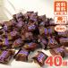 �X�j�b�J�[�Y �~�j�`���A 40�� �`���R���[�g SNICKERS MINIS � �s�[�i�b�c �L�������� �k�K�[ �ЂƂ����T�C�Y ������ ��e�� �܂Ƃߔ��� ���َq �󂠂�