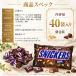 �X�j�b�J�[�Y �~�j�`���A 40�� �`���R���[�g SNICKERS MINIS � �s�[�i�b�c �L�������� �k�K�[ �ЂƂ����T�C�Y ������ ��e�� �܂Ƃߔ��� ���َq �󂠂� �֘A�摜2
