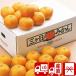  подарок по случаю конца года подарок 2025 фрукты . фрукты прямая поставка от производителя Shizuoka префектура производство три штук день мандарин 2.5kg(85153)