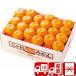  подарок по случаю конца года 2025 подарок фрукты . фрукты прямая поставка от производителя Shizuoka префектура производство три штук день мандарин 4kg(85154)