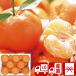  подарок по случаю конца года 2025 подарок прямая поставка от производителя фрукты . фрукты подарок комплект Daiwa .. Ehime префектура производство ... мандарин (V6006538T)