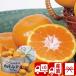 подарок по случаю конца года подарок 2025 прямая поставка от производителя фрукты . фрукты подарок комплект Daiwa .. Wakayama префектура производство Tamura . мандарин (V6006545T)