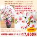 ���� ���퐻�̔��ɓ������C�i���ӂ��V���N�t�����[�̌Ӓ����̔��A�� 7�{�� ���j�� ��̓� �M�t�g �J�X�j�� �h�V�̓� CT�G�} ���G�} �A�C ���i �h�] �֘A�摜1