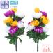 ���� ���� �O�F�̋e9�ւ̏��ԑ���� ���d�p ������ ������ CT�G�} ���~ ������ ���O ���� ���p btb