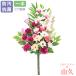 ���� ���� �V���r�W���[����e�ƃ_���A�̃p�[�v���n�傫�ȉԑ� ��{(�ꑩ) CT�G�} �V���N�t�����[ ���ފ� ���~ �����d ���� ���� �� ������  ���O ���� ���p btb