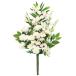 ���� ���� �V���r�W���[����e�ƃ_���A�̃z���C�g�n�傫�ȉԑ� ��{(�ꑩ) CT�G�} �V���N�t�����[ ���ފ� ���~ �����d ���� ���� �� ������  ���O ���� ���p btb