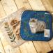  Matsuo miyuki полотенце для рук 1 листов кошка полотенце носовой платок ..CAT[ letter pack почтовый сервис плюс возможно 20 шт до * letter pack почтовый сервис свет возможно 10 шт до * почтовая доставка возможно 5 шт до ]B