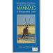 A Photographic Guide to Mammals of Southern Central and East Africa (P( б/у товар )
