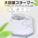  sauna механизм для бытового использования пар sauna box пар sauna для бытового использования sauna простой sauna 2L/3L используя простой дистанционный пульт управление защита расчет времени функция 
