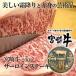牛肉 宮崎牛 ステーキ 宮崎牛 サーロイン ステーキ 1枚200g 国産 宮崎県産