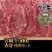 宮崎牛あっさりヘルシーな赤身焼肉カット500g