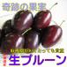  ценный Hokkaido производство сырой . еда .. чернослив 2kg