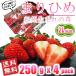  ܂Ђ a̎RIWii 2LTCY 250g(12) x 4pbN  TVłЉꂽ̃C`S Gi C`S  ƒEp