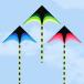  kite kite toy kite .. child kite kite octopus sports kite out playing beginner triangle kite colorful kite out playing Kids child leisure picnic park camp 