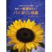  самый .. хочет скрипка сборник фортепьяно ..* скрипка часть . имеется модифицировано .|( скрипка сборник |4524643039570)