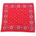 60s TOWER GUARANTEED FAST COLOR RN13960 хлопок бандана красный *80 Vintage носовой платок Париж s аксессуары z цветочный принт цветок уголок имеется 