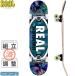  real REAL skateboard skateboard Complete TEAM TROPIC OVALS II COMPLETE 95A 7.5 -inch NO36