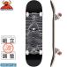  toy machine TOY MACHINE skateboard skateboard Complete TOY DIVISION COMPLETE 8.0 NO20