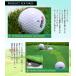 �p�^�[�}�b�g 3m �p�^�[���K �S���t�}�b�g �p�b�e�B���O�}�b�g ��^�}�b�g GOLF �������� ���������K ���K��� �l�H�� PGM  [GL006-310] �֘A�摜3