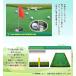 �p�^�[�}�b�g 3m �p�^�[���K �S���t�}�b�g �p�b�e�B���O�}�b�g ��^�}�b�g GOLF �������� ���������K ���K��� �l�H�� PGM  [GL006-310] �֘A�摜4