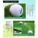 �p�^�[�}�b�g 3m �p�^�[���K �S���t�}�b�g �p�b�e�B���O�}�b�g ��^�}�b�g GOLF �������� ���������K ���K��� �l�H�� PGM  [GL006-315] �֘A�摜3