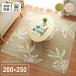 ���O �ėp �J�[�y�b�g 3�� �􂦂� 200�~250 ���� ����~�� ���O�}�b�g ������� �� �����` �O�~ �k���� ����@ ���� ���[�t�� �z�b�g�J�[�y�b�g �؍� ��