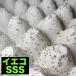 (�C�G�R SSS 100�C) �������� �a ���a �����a ���a �����G�T ph SS�T�C�Y S MS M ML L �J�i�w�r �g�J�Q�a ������ �J�G�� �C�G�R ���� ���� �a�p �� ������ �^