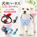 ���p�n�[�l�X �V�g�̗� �H���t�� ���� ���^�� ���^���p �����ă^�C�v �U�� ���o���� �ʋC�� ������� �y�b�g�p�i 2�J���[