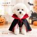 �n���E�B�� �y�b�g�� �L �� �z���S �}���g �y�b�g�R�X�v�� �����ߑ� �R�X�`���[�� �ϐg ���킢�� �ʐ^�B�e �C�x���g �p�[�e�B�[ �a����