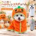 �n���E�B�� ���� ���ڂ��� �p���I �p���v�L�� �R�X�v�� �����ߑ� �h�b�O�E�F�A ���^�� �L���p �y�b�g�R�X�`���[�� ���킢�� �p�[�e�B�[ �ʐ^�B�e