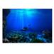  подводный задний ground подводный фон аквариум задний экран аквариум задний экран море. мир узор склеивание материалы оборудование орнамент водонепроницаемый долговечность . починка простой (6