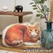 猫 クッション かわいい アニマルクッション 動物 リアル おしゃれ 抱き枕 ソファークッション(うさぎ・猫・リス・ひつじ・白熊・おおかみ)