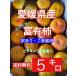  Ehime префектура производство . иметь хурма 5 kilo 2L~4L размер есть перевод *. для бытового использования царапина 