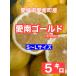  Ehime префектура love юг блок производство! love юг Gold ( Kawauchi ..)5 kilo есть перевод *. для бытового использования S~L размер 